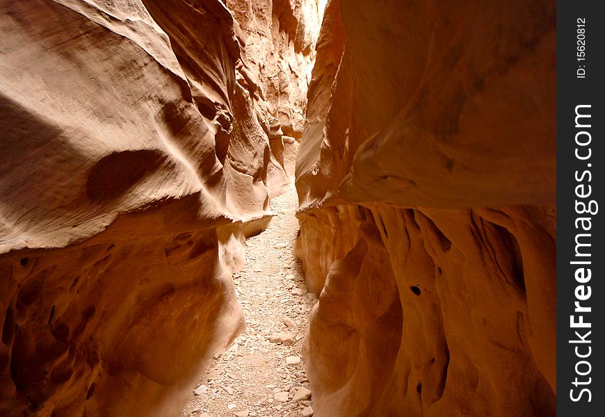 A slot canyon in Utah named Little Wild Horse