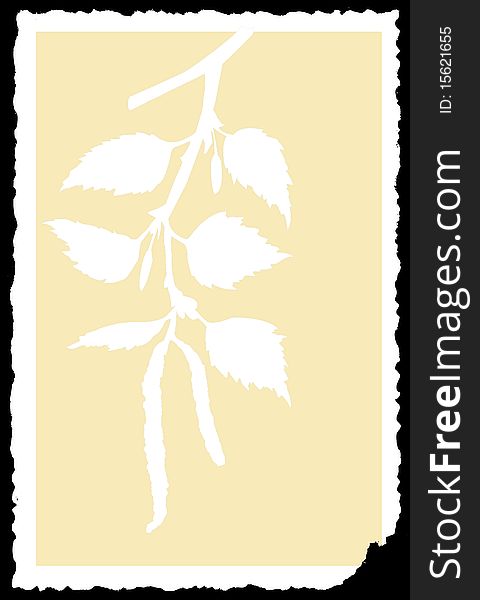 Vector drawing of the branch of the birch on torn to paper