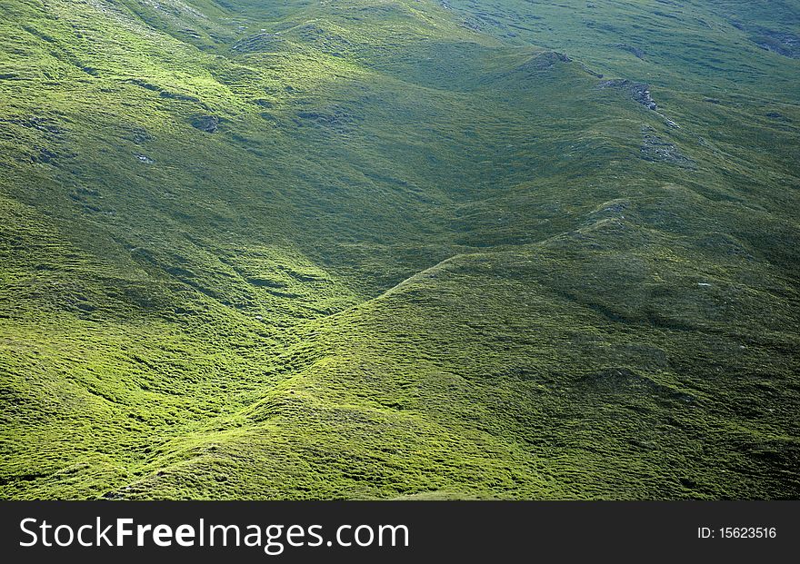 Meadows in the swiss alps. Meadows in the swiss alps