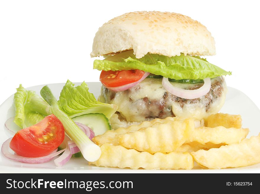 Closeup of a juicy cheese burger fries and salad. Closeup of a juicy cheese burger fries and salad