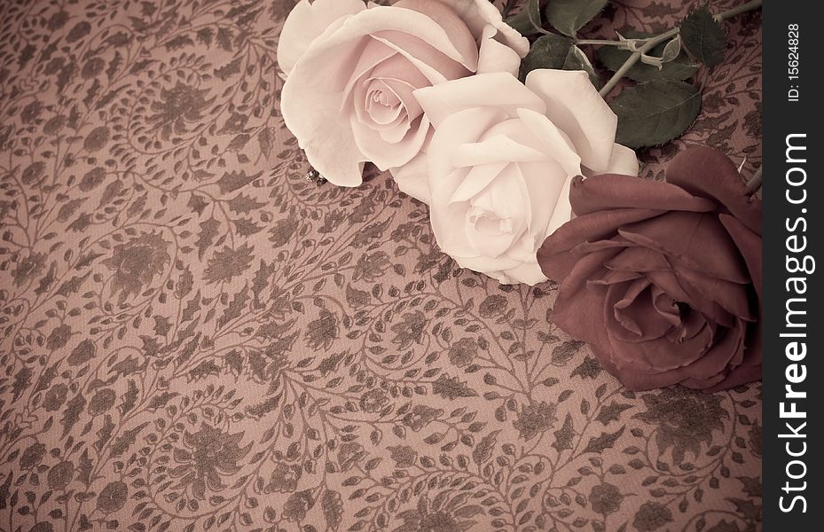 Rose Background