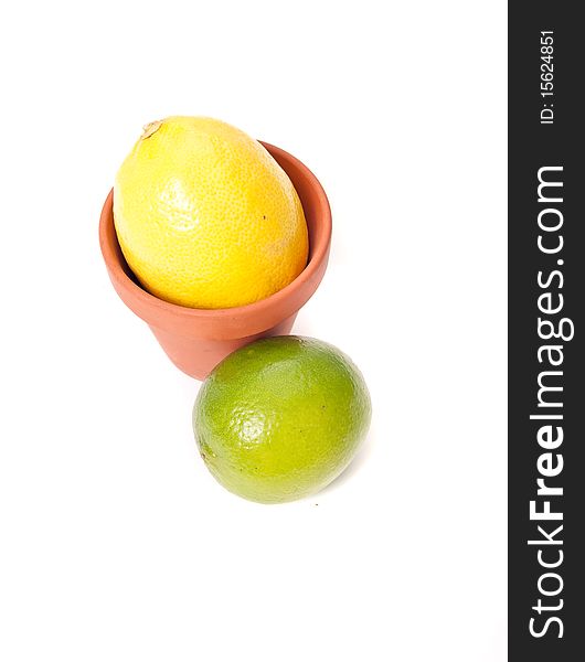 Lemon in Small Pot with Lime. Lemon in Small Pot with Lime