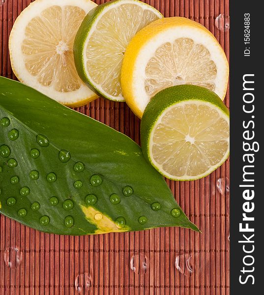 Limes and Lemon Slices with Leaf and Water Droplets