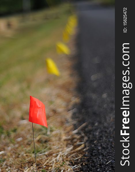 A bunch of racing flags stuck in the ground