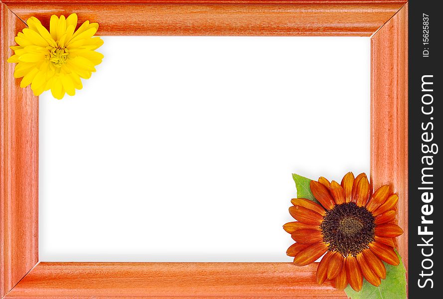 Frame with 2 flowers