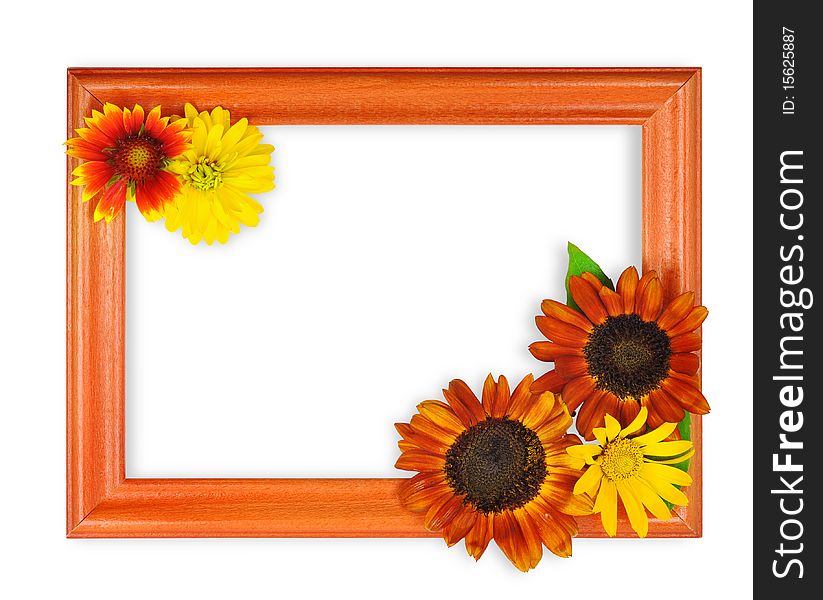 Frame with 3 flowers isolated on a white background