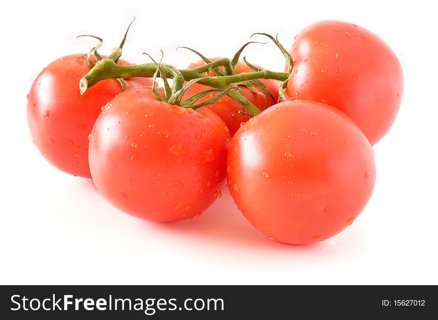 Tomatoes Isolated On White Background