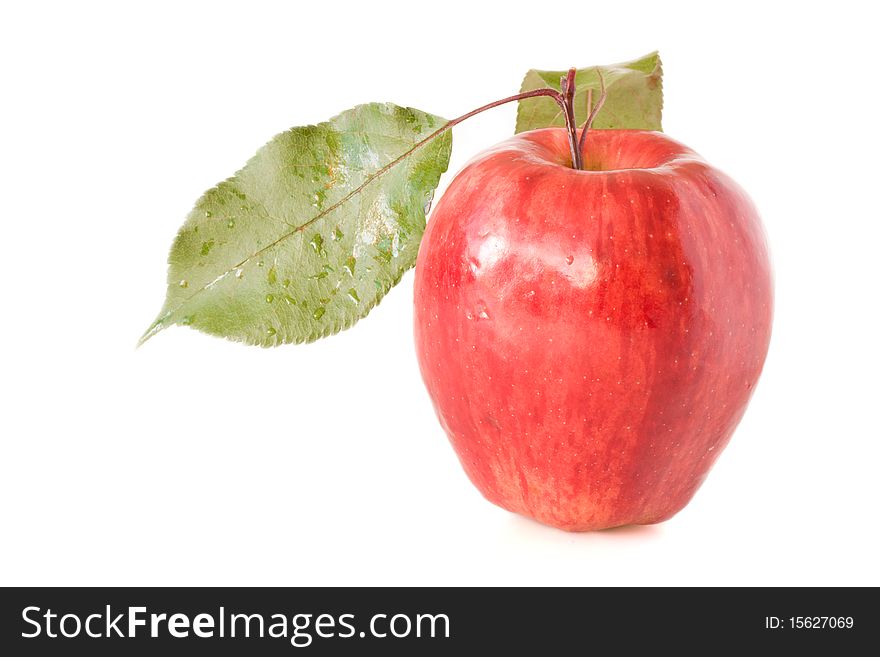 Red apple on white background. Red apple on white background