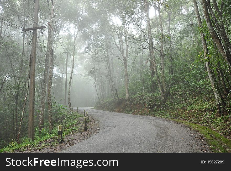 Foggy way to Doi Pui , Chiang Mai Thailand. Foggy way to Doi Pui , Chiang Mai Thailand