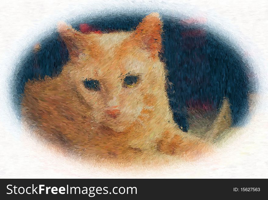 Orange tabby with a loving look in the eyes. Orange tabby with a loving look in the eyes