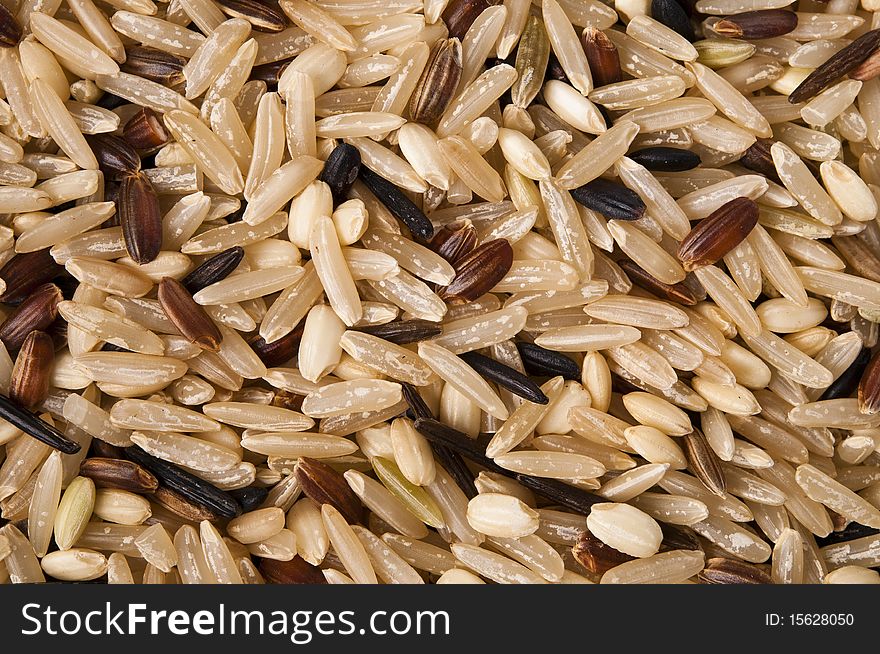 Brown wild rice showing various grains. Brown wild rice showing various grains