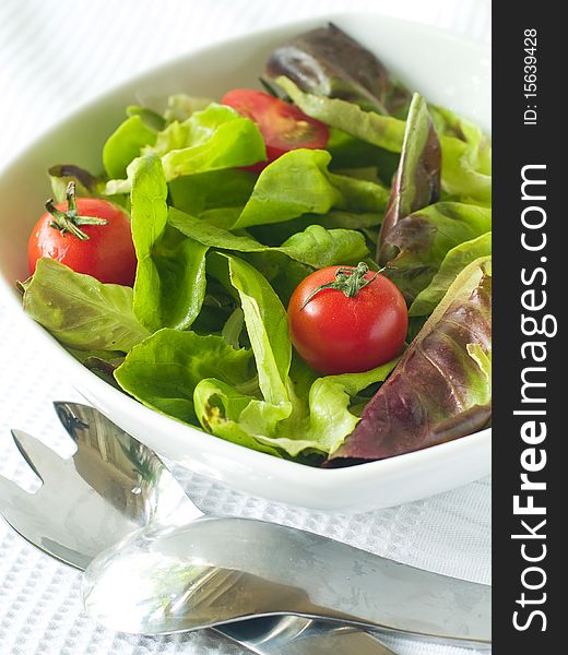 Bowl of salad from lettuce and tomato