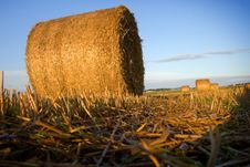 Bales Of Straw Close-up In The Field Royalty Free Stock Photo Bales Of Straw Close-up In The Field Royalty Free Stock Photo