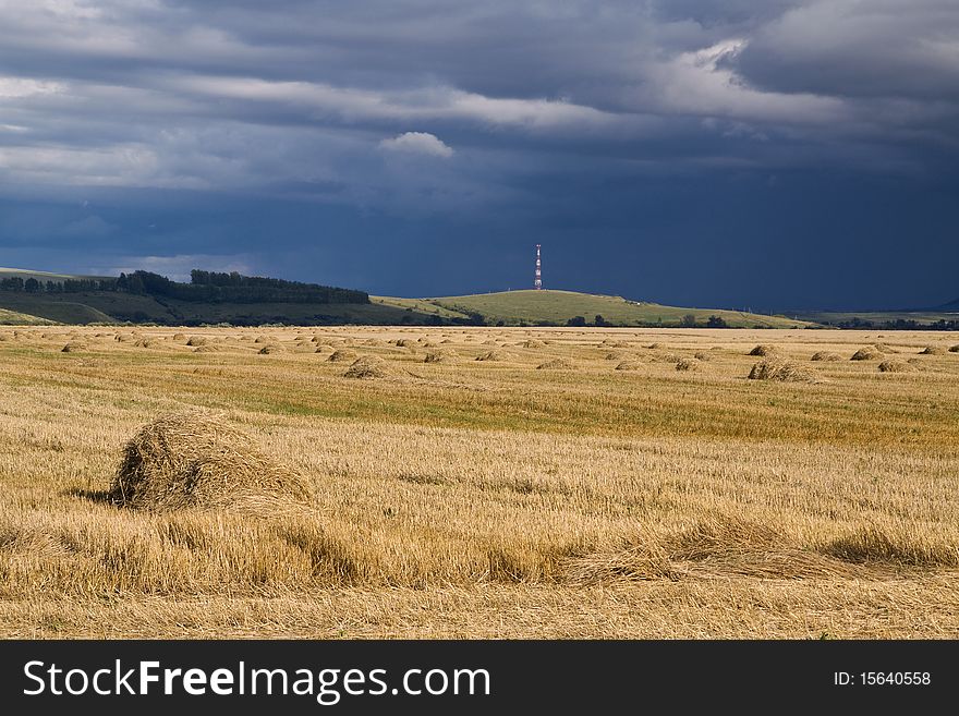 Thunder-storm over a field