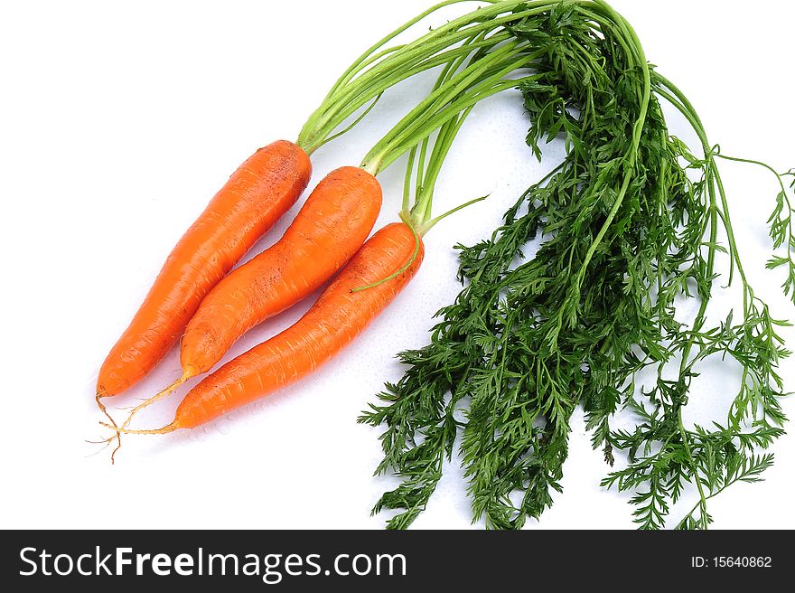 Three fresh big carrots with stems. Three fresh big carrots with stems