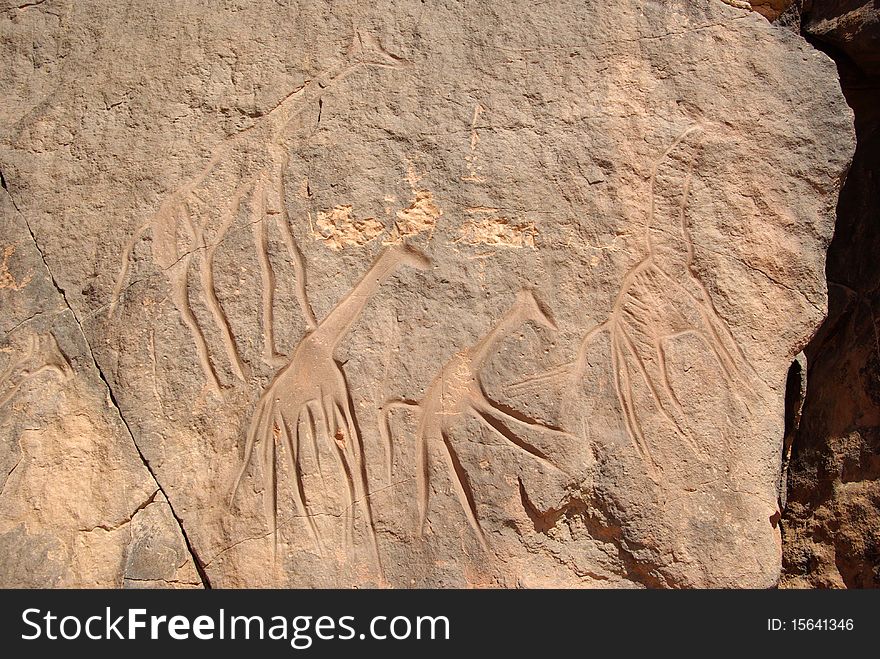 Rock Engraving, Libya