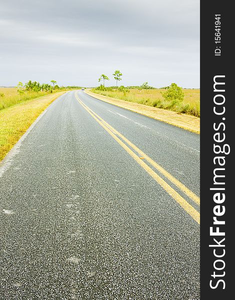 Road in Everglades National Park, Florida, USA