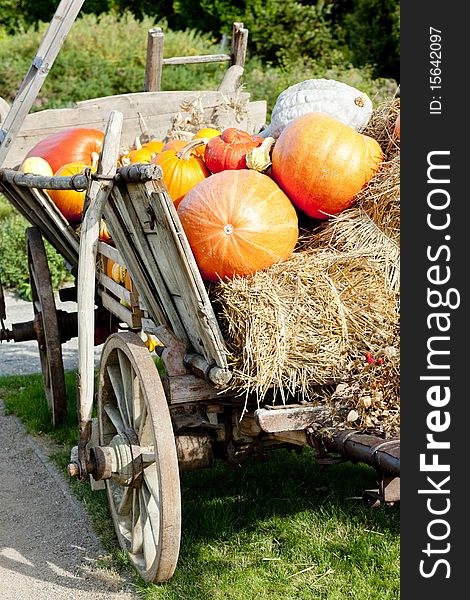 Still life of pumpkins on cart