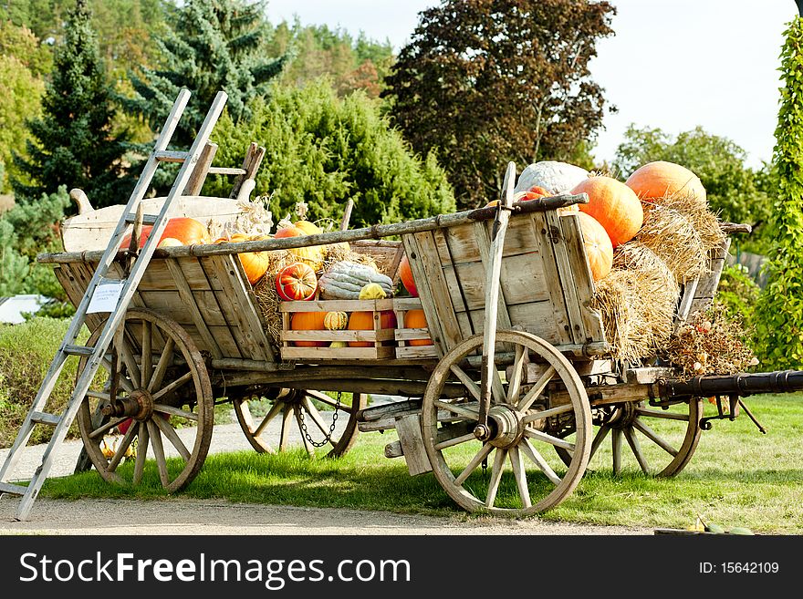 Still life of pumpkins on cart