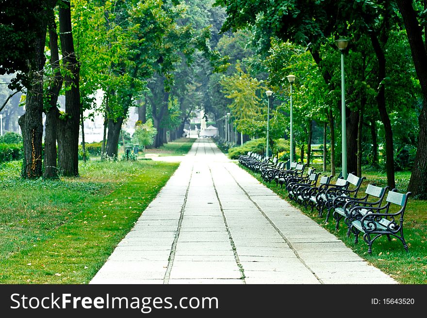 Lonely alley in the park. Lonely alley in the park