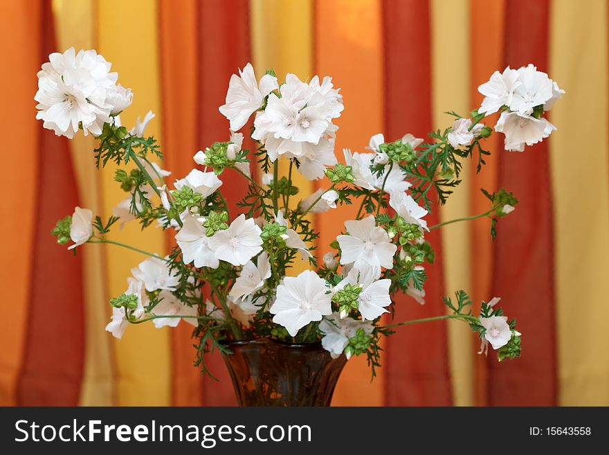 Bunch of coloured flowers on colourful background