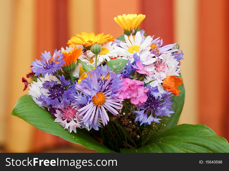 Bunch of coloured flowers on colourful background