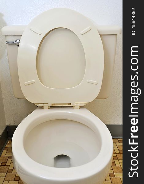Toilet seat and bowl