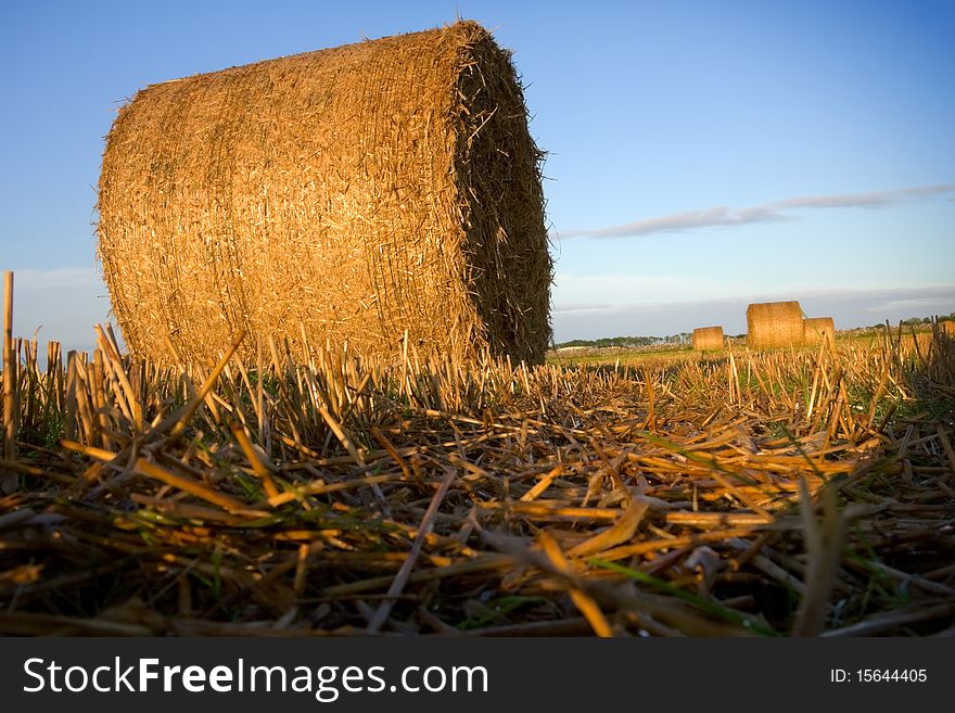 Bales of straw close-up  in the first sunlight at croped wheat field, Ireland. Bales of straw close-up  in the first sunlight at croped wheat field, Ireland