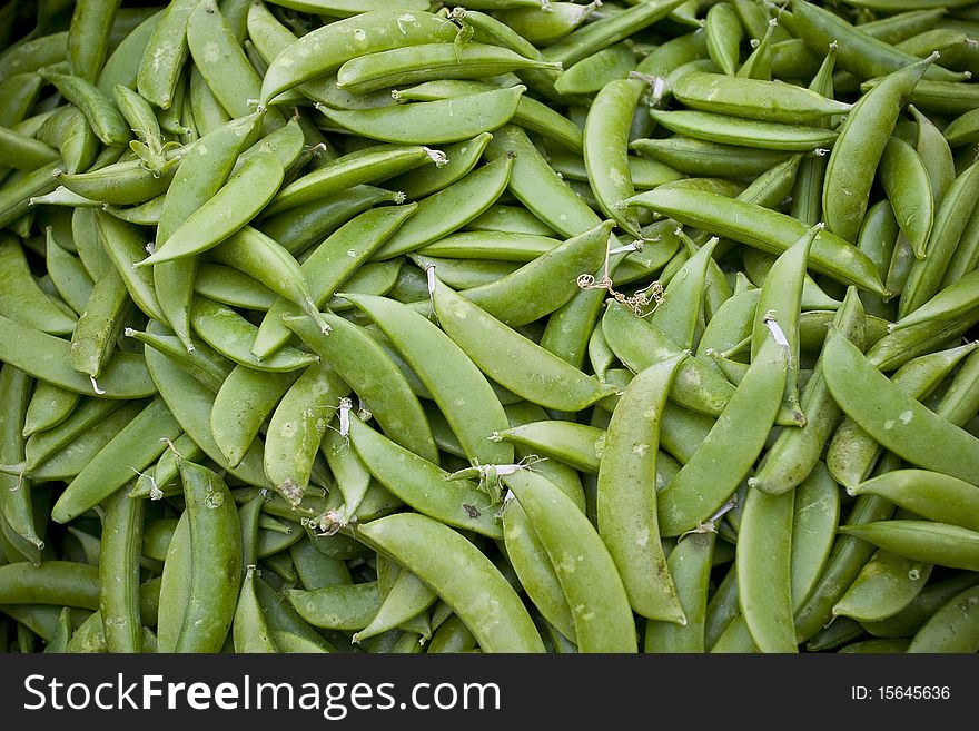 Large volume of green beans for sale by the pound