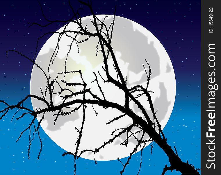 Night tree against the full moon