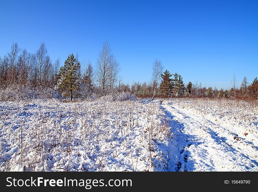 Winter snow on field near wood