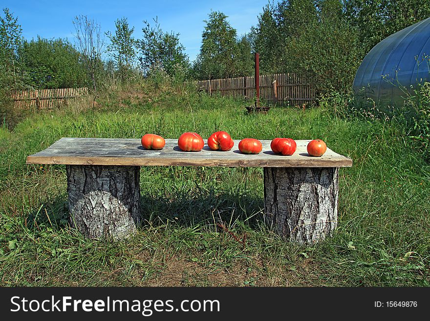 Ripe tomatoes on wooden bench