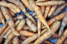 A Lot Of Dirty Ripe Carrots Stock Photo