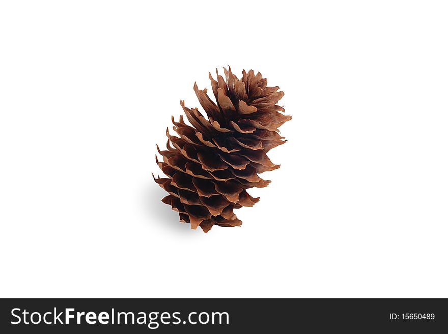 Cone on white background.Isolate with path