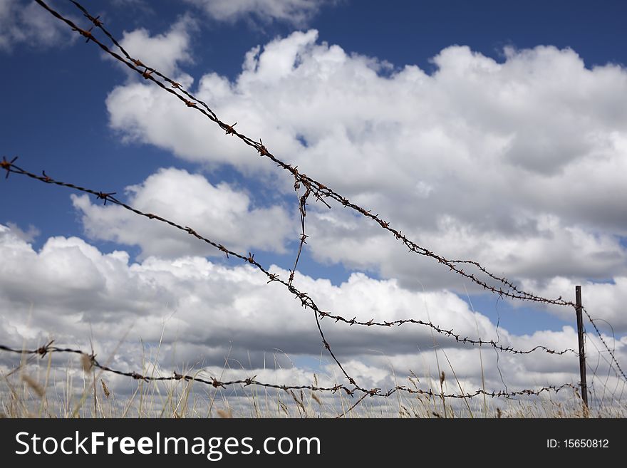 The barbed wire on blue sky and white clouds in summer