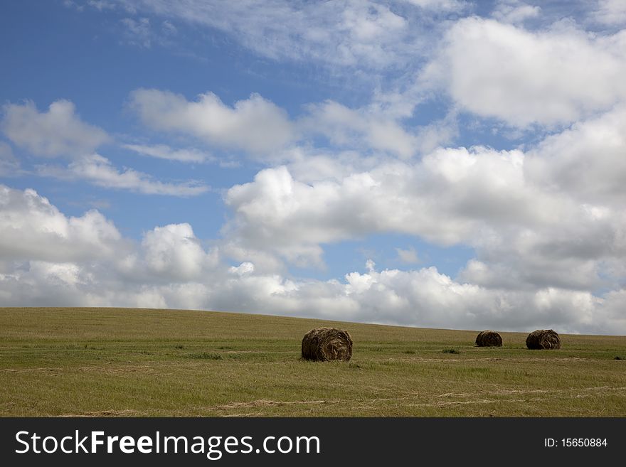 The bundle of hay in summer meadow of Inner Mongolia, China. The bundle of hay in summer meadow of Inner Mongolia, China