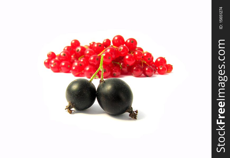 Berries of a black currant against berries of a red currant. Berries of a black currant against berries of a red currant
