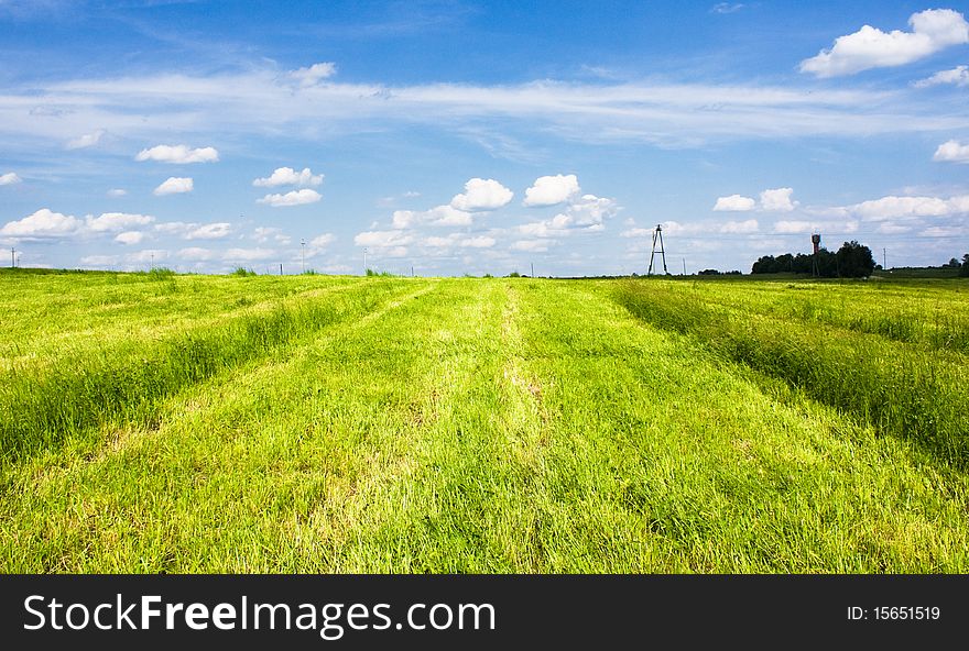 Summer landscape with blue sky and green grass.