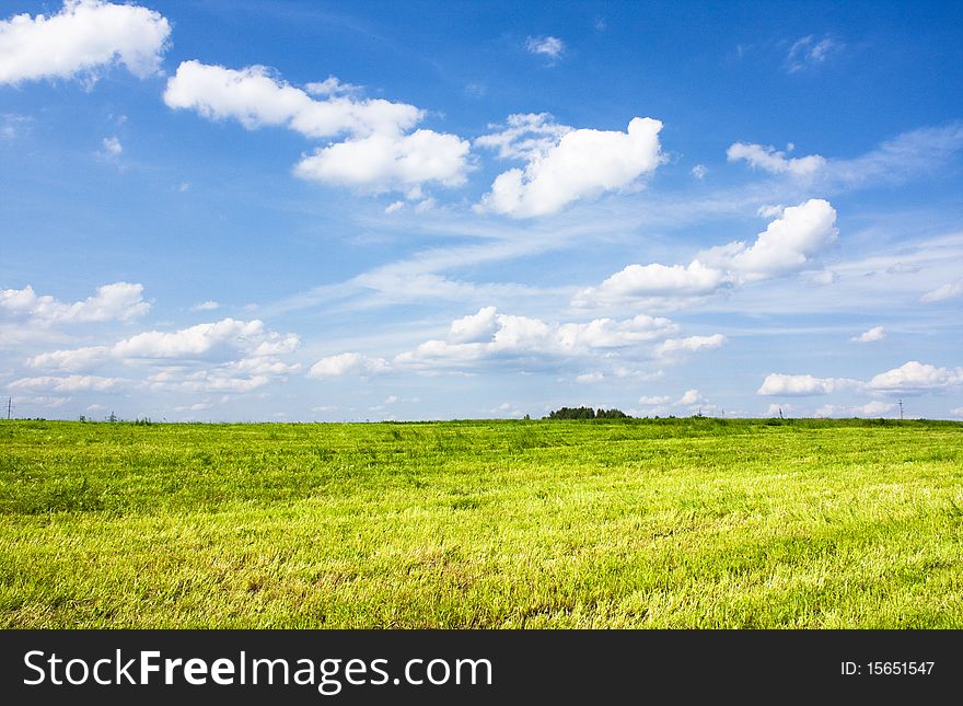 Summer landscape with blue sky and green grass.