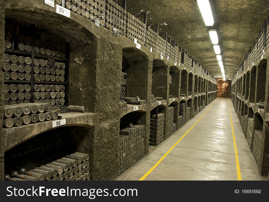 Vine cellar with old bottles
