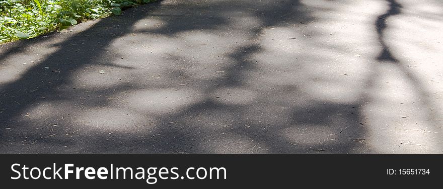 Tree shades on summer asphalt. Tree shades on summer asphalt.
