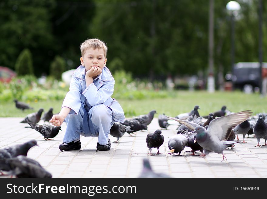 Little boy and street doves