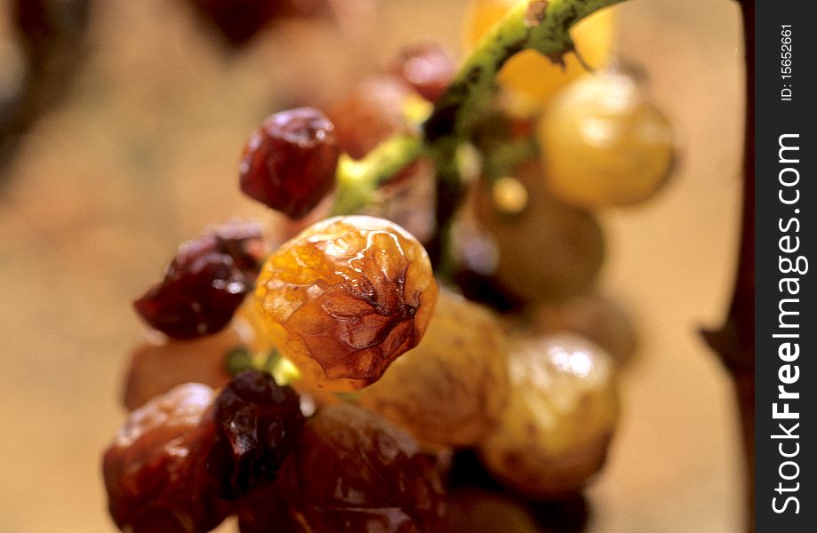 Red and yellow dried grapes