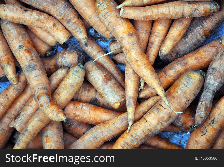 Young dirty unwashed unpeeled carrots. A lot of carrots. Stacked in a pile. Young dirty unwashed unpeeled carrots. A lot of carrots. Stacked in a pile