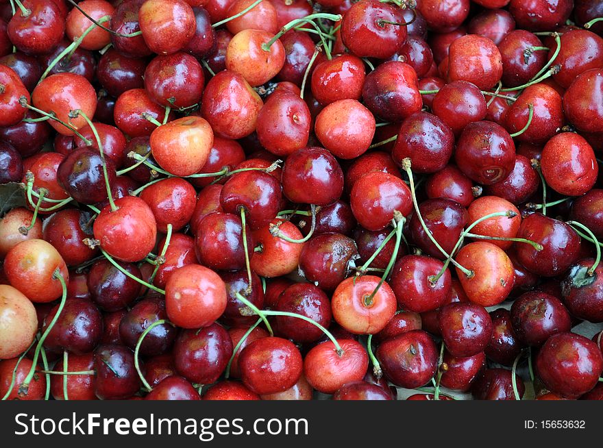 Young dirty unwashed cherries. A lot of cherries. Stacked in a pile