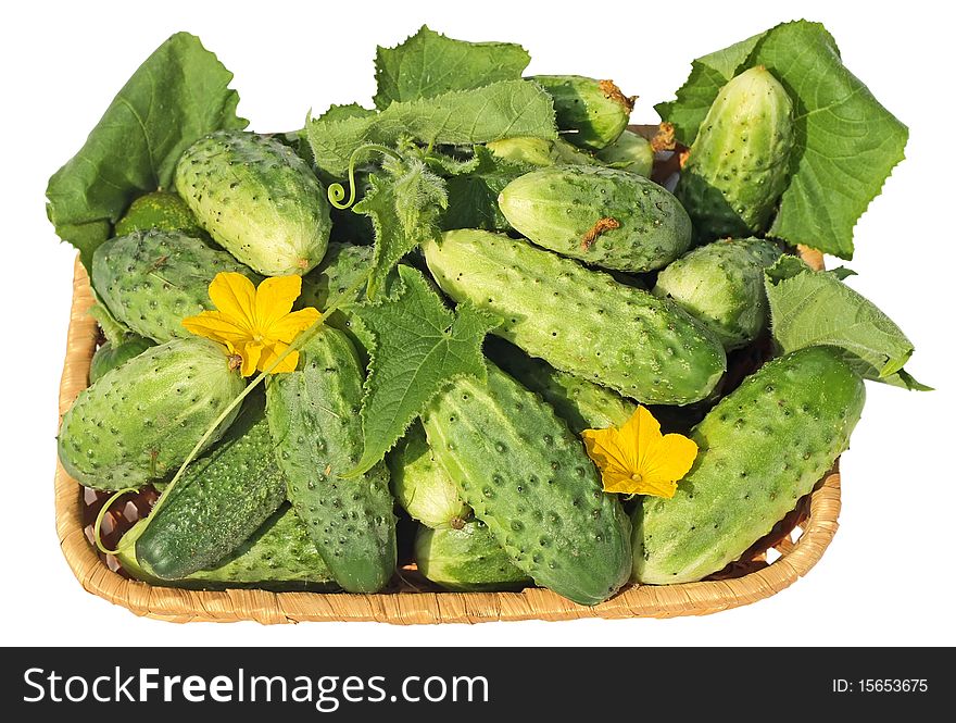 Fresh cucumbers in a wattled basket