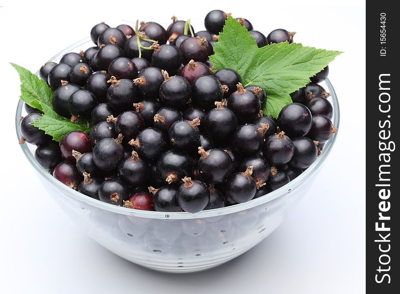 Crockery with black currant. Isolated on a white background.