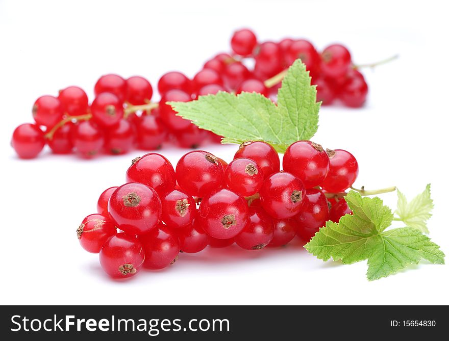 Bunch Of Red Currants
