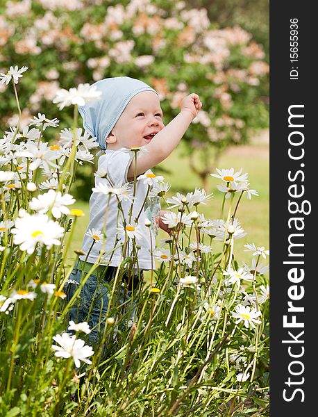 Smiling happy boy on the meadow. Smiling happy boy on the meadow