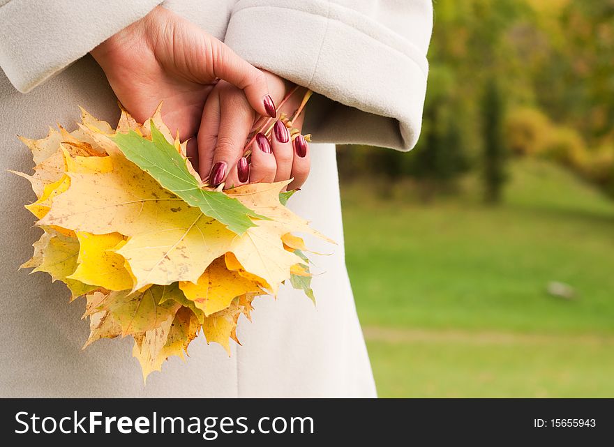 Woman hands holding autumn tree leaves in forest